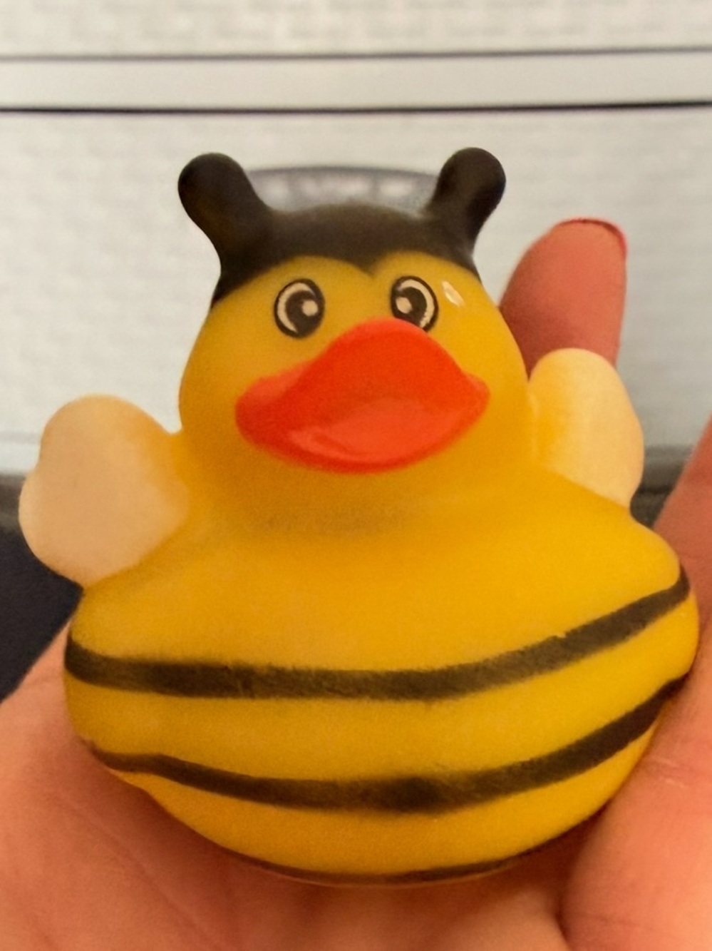 Set of 2 Rubber Ducks Duckies Ducky Jeep